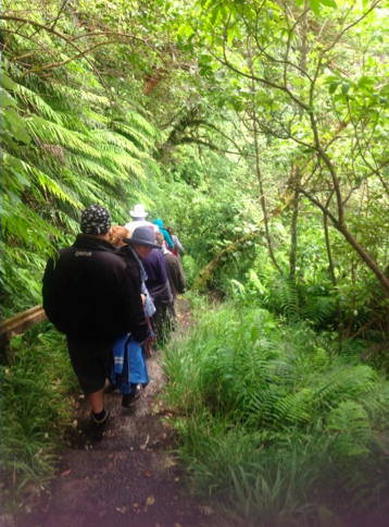 NZ Camp, January 2014