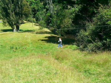 NZ Camp, January 2014