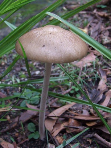 Jervis Bay Campout 4-6 April 2014 (3)