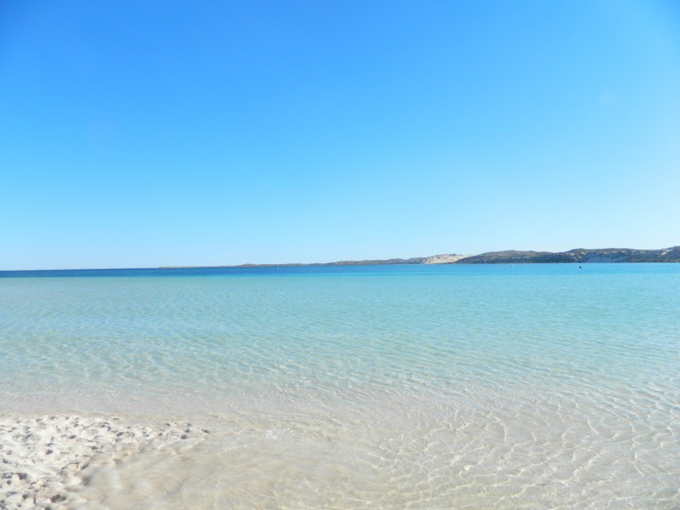 Ocean
