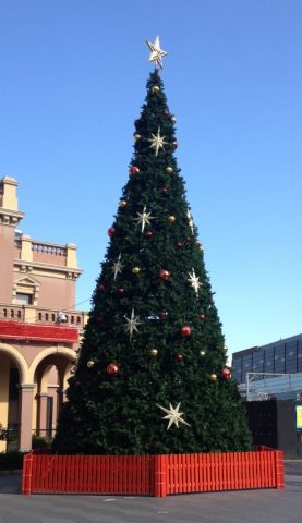 img_1013__cropped-medium