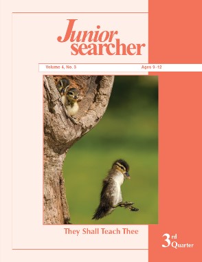 junior-searcher-vol-4_3