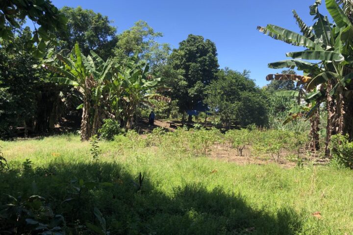 Solomon Islands Property