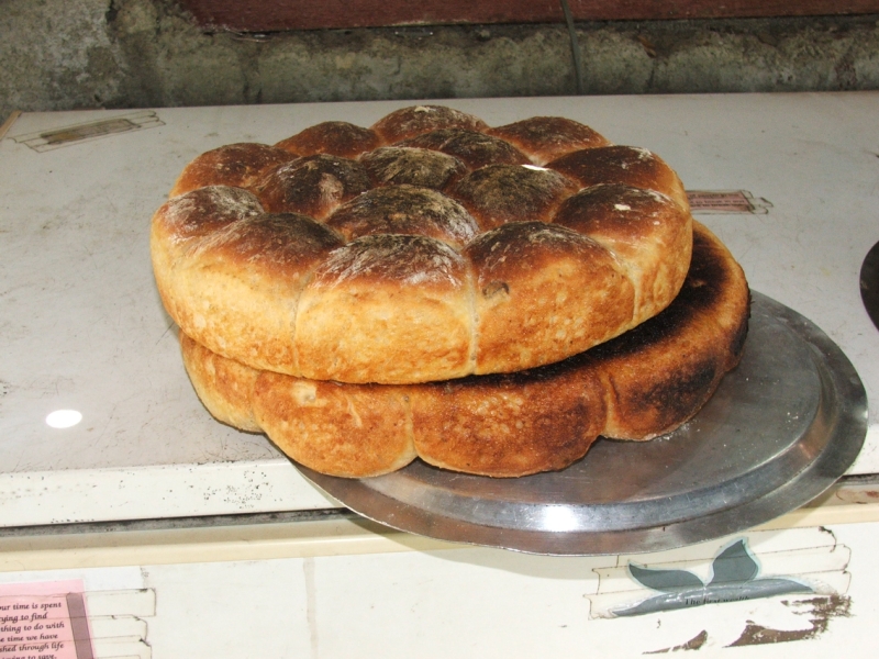 DSCF5509.jpg