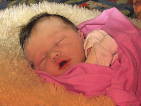 Jasmine-2.jpg